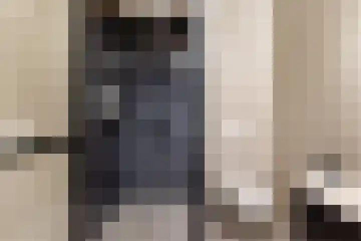 Kouter 25 Voorthuizen thumbnail 32