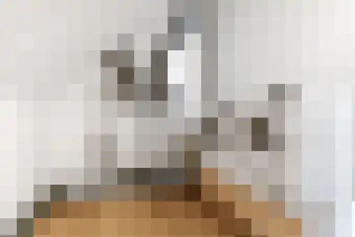 Kouter 25 Voorthuizen thumbnail 37