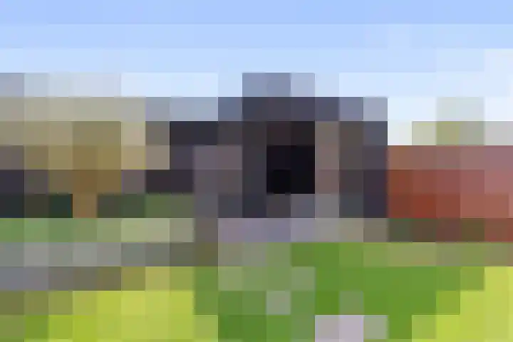 Kouter 25 Voorthuizen thumbnail 42