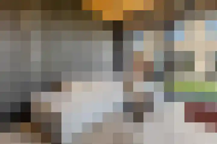 Kouter 25 Voorthuizen thumbnail 43