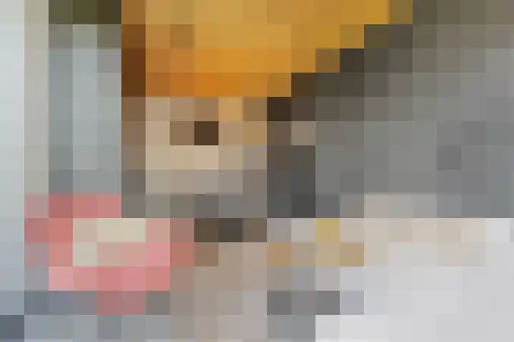 Kouter 25 Voorthuizen thumbnail 44