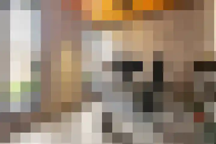 Kouter 25 Voorthuizen thumbnail 47