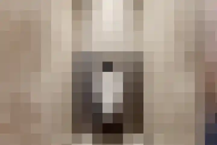 Kouter 25 Voorthuizen thumbnail 48