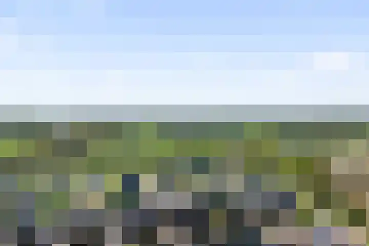 Kouter 25 Voorthuizen thumbnail 52