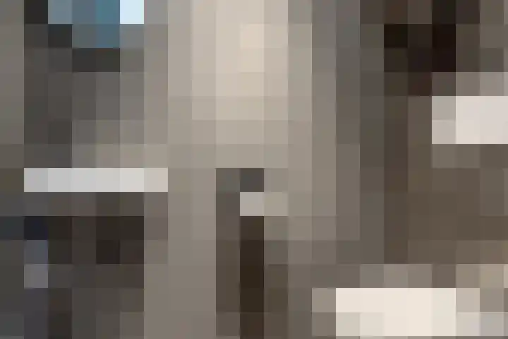 Kouter 25 Voorthuizen thumbnail 6