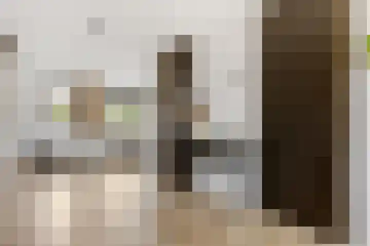 Kouter 25 Voorthuizen thumbnail 7