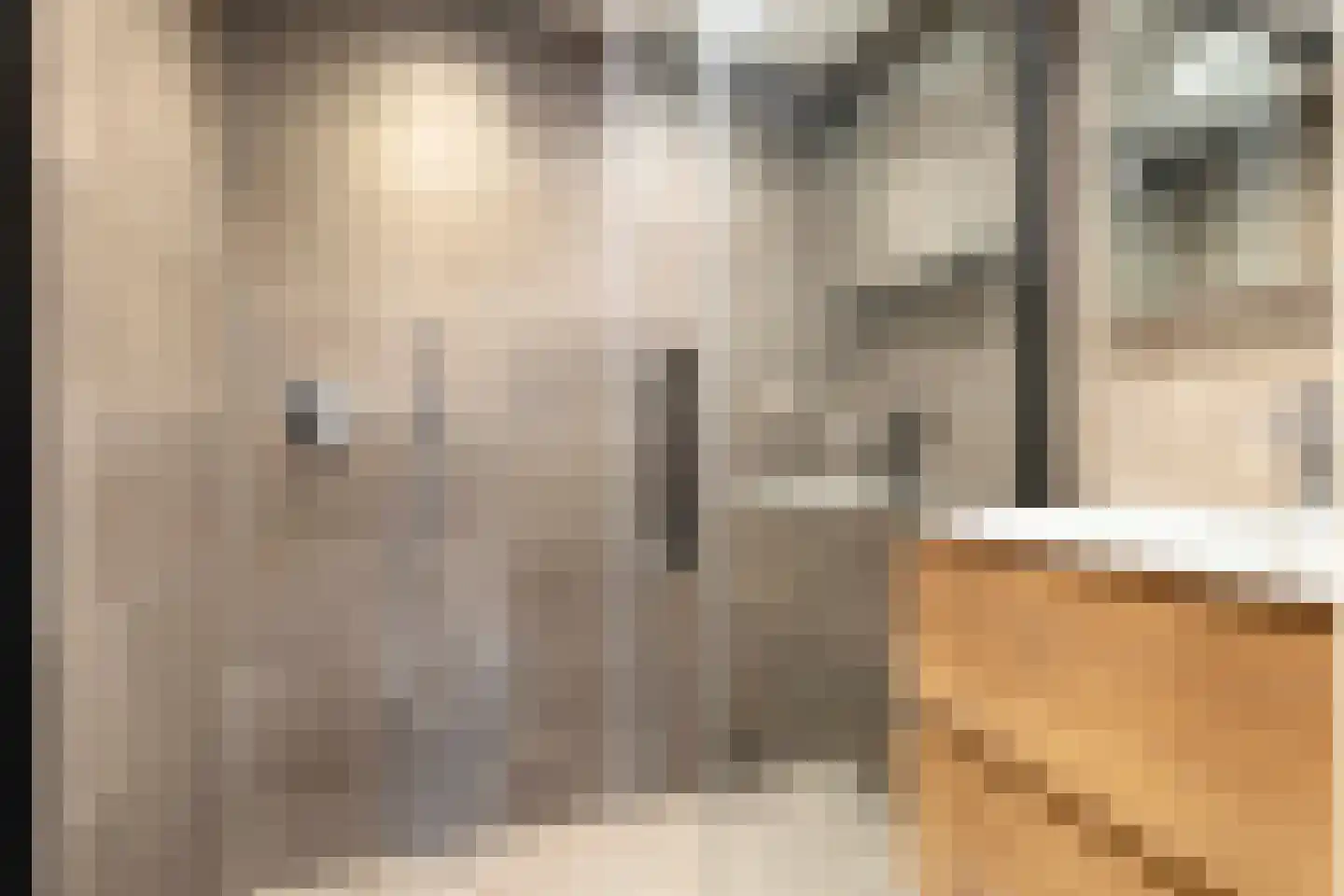 Kouter 43 Gemert thumbnail 25