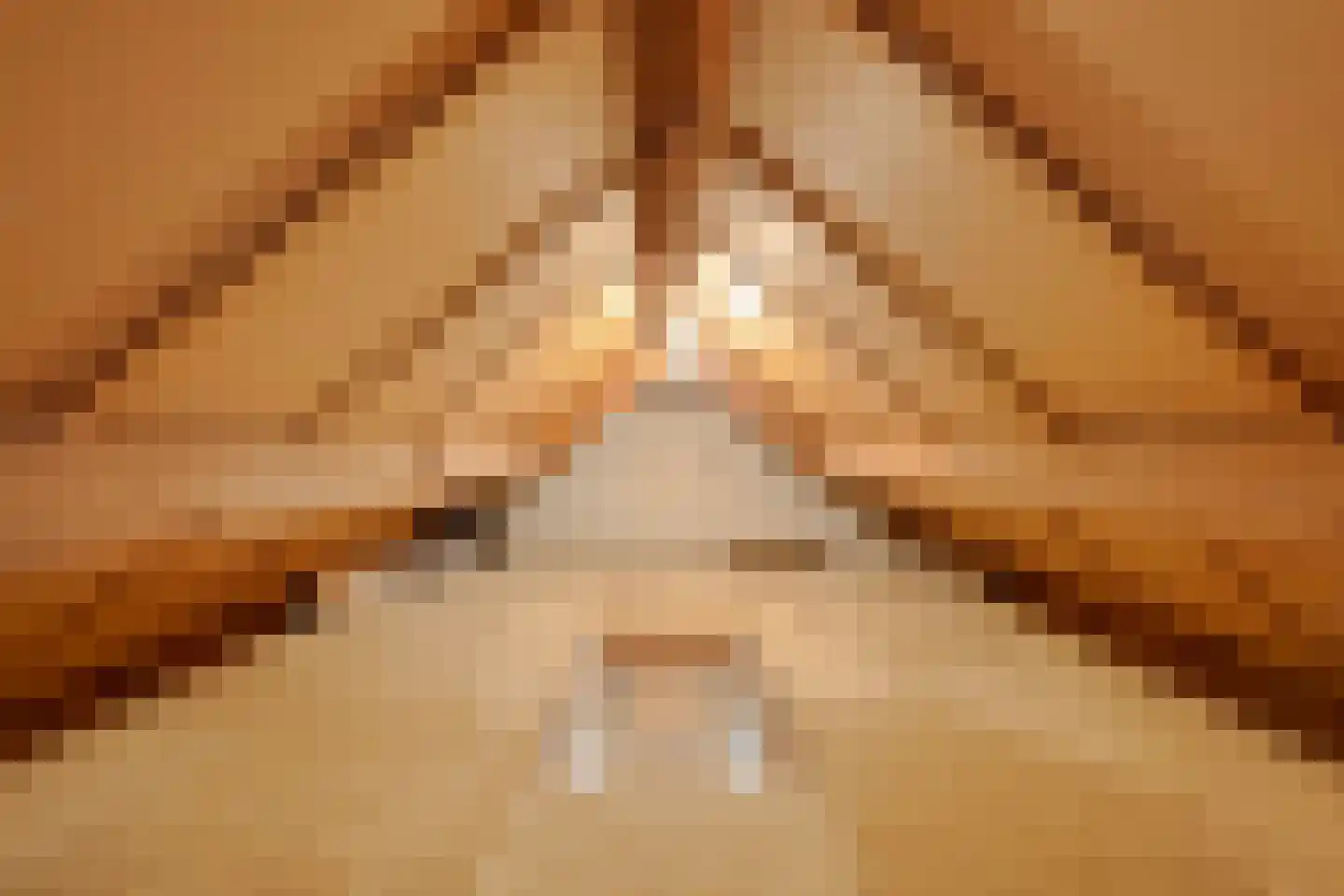 Kouter 43 Gemert thumbnail 28