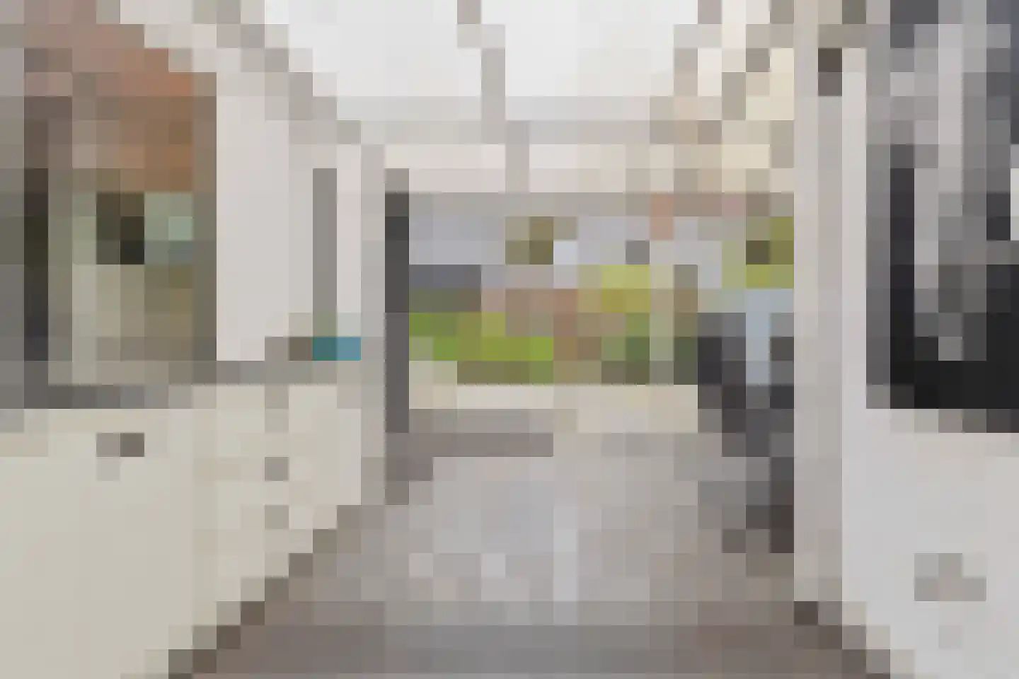 Kouter 43 Gemert thumbnail 29
