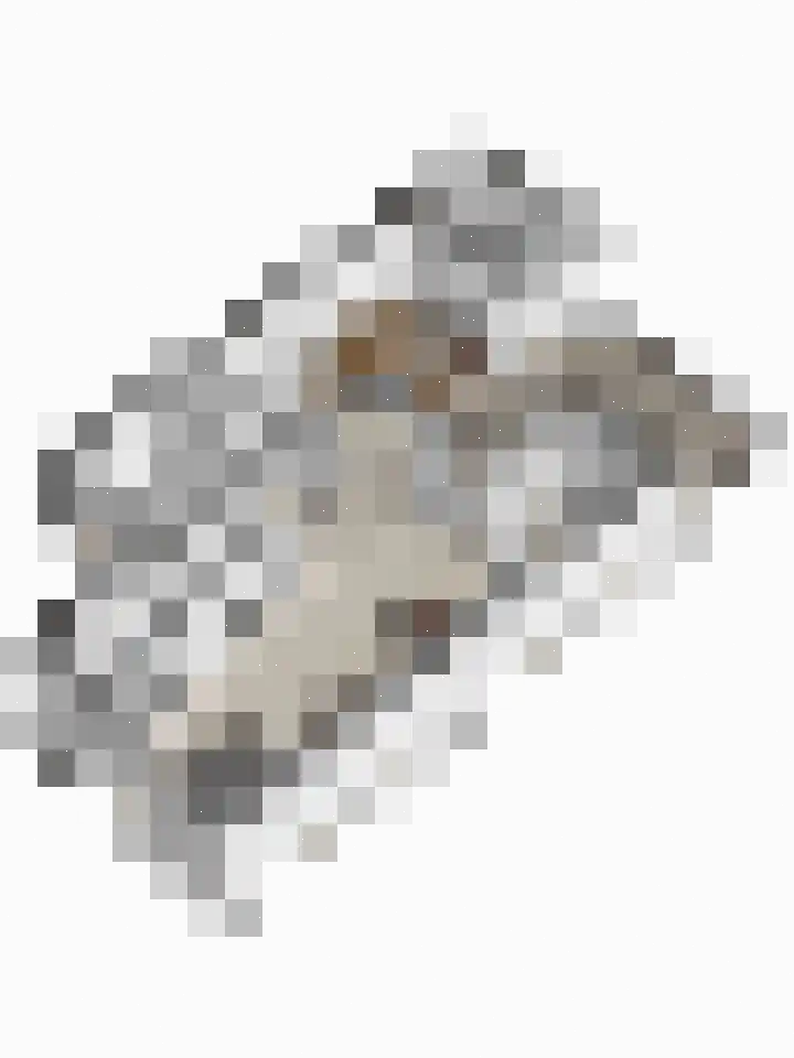 Kouter 43 Gemert thumbnail 40
