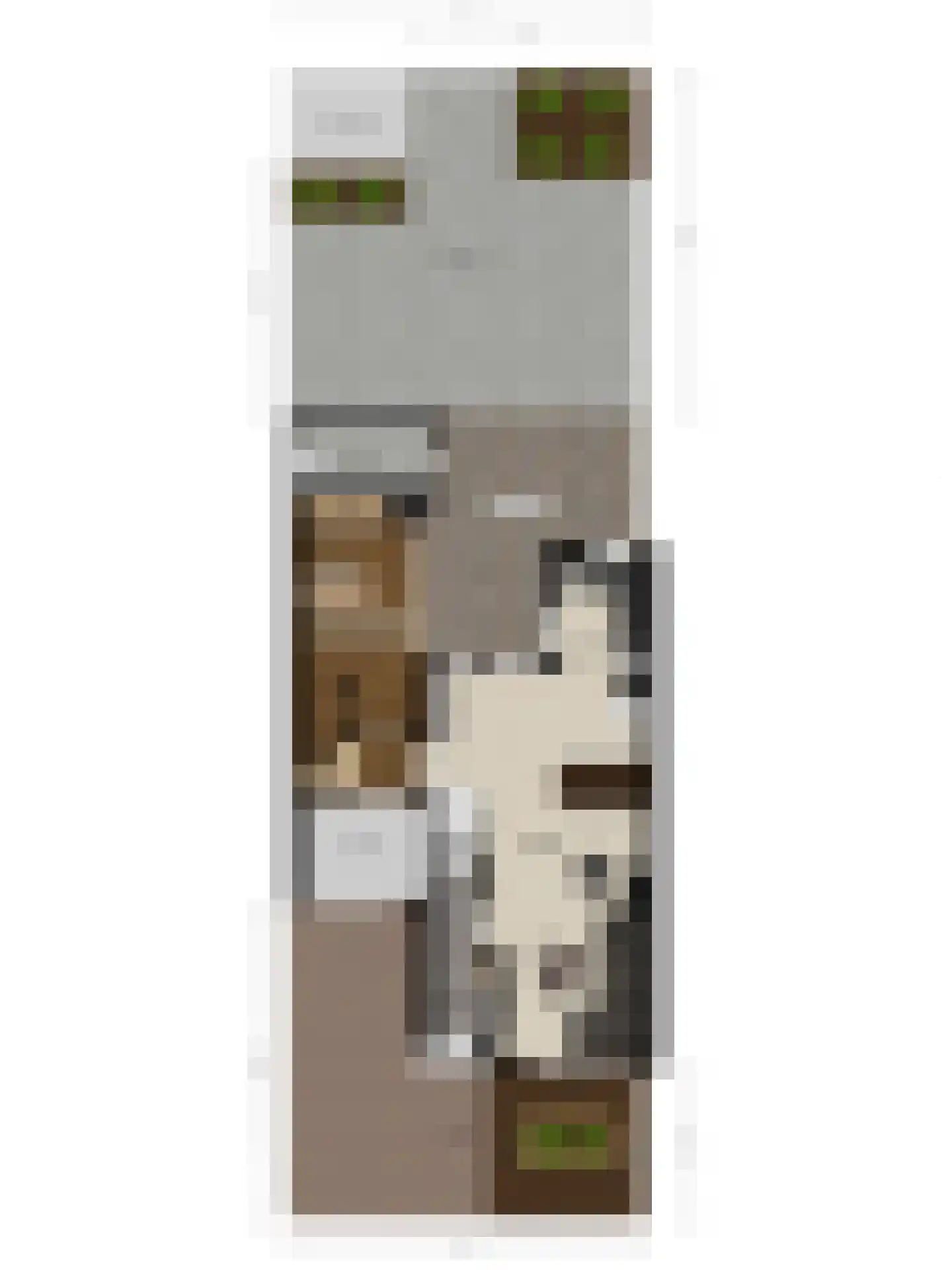 Kouter 43 Gemert thumbnail 44