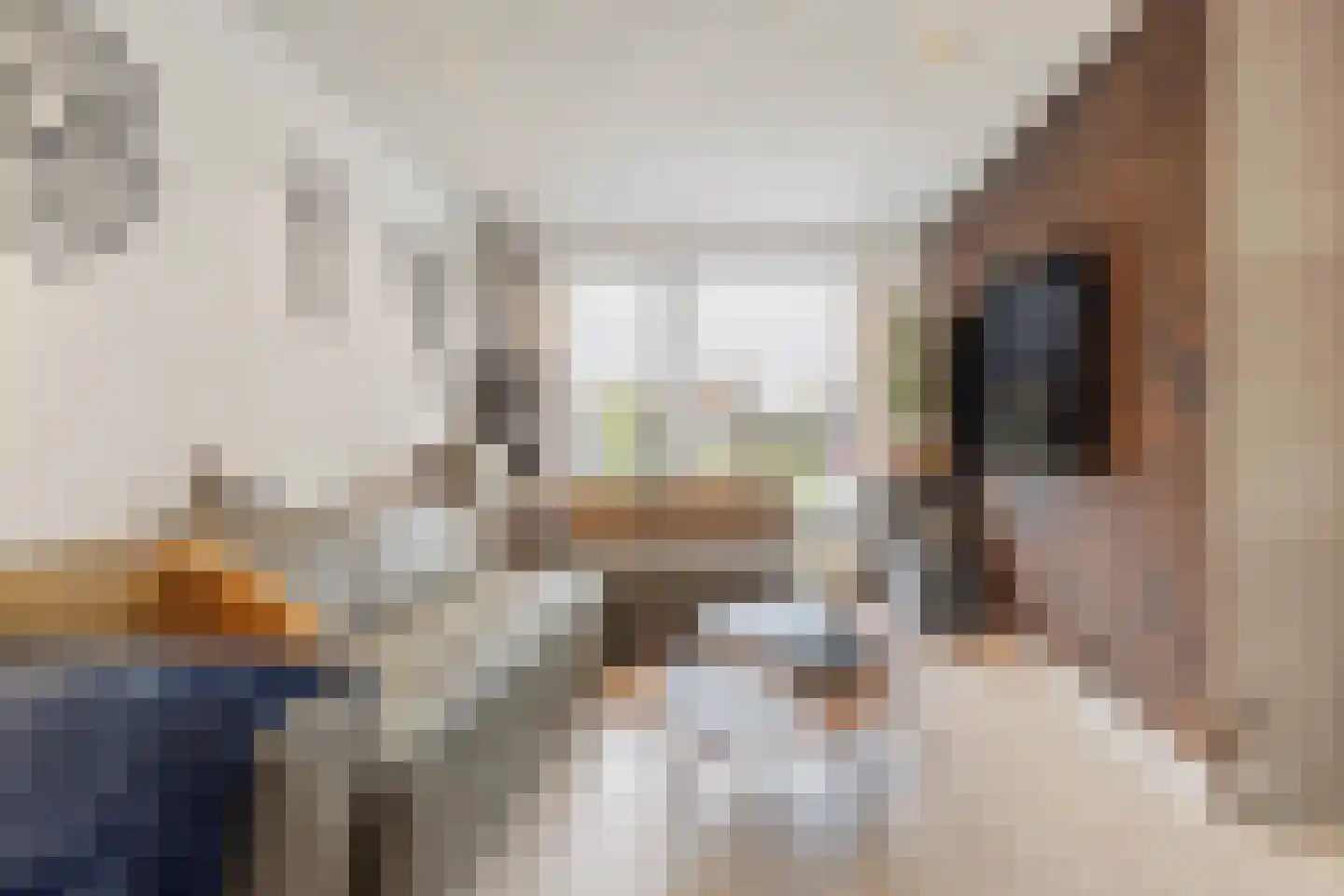 Kouter 43 Gemert thumbnail 5