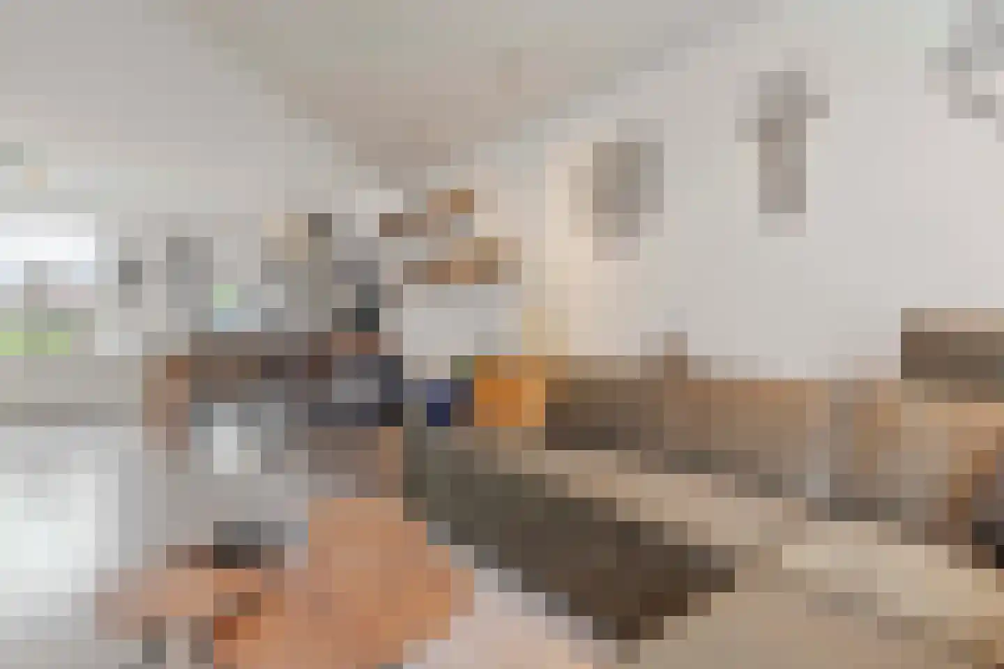 Kouter 43 Gemert thumbnail 6