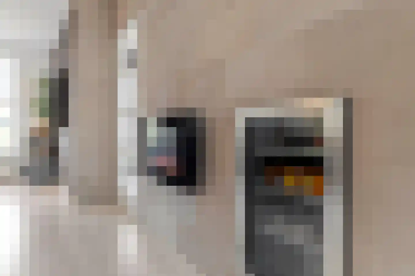 Kouter 43 Gemert thumbnail 8
