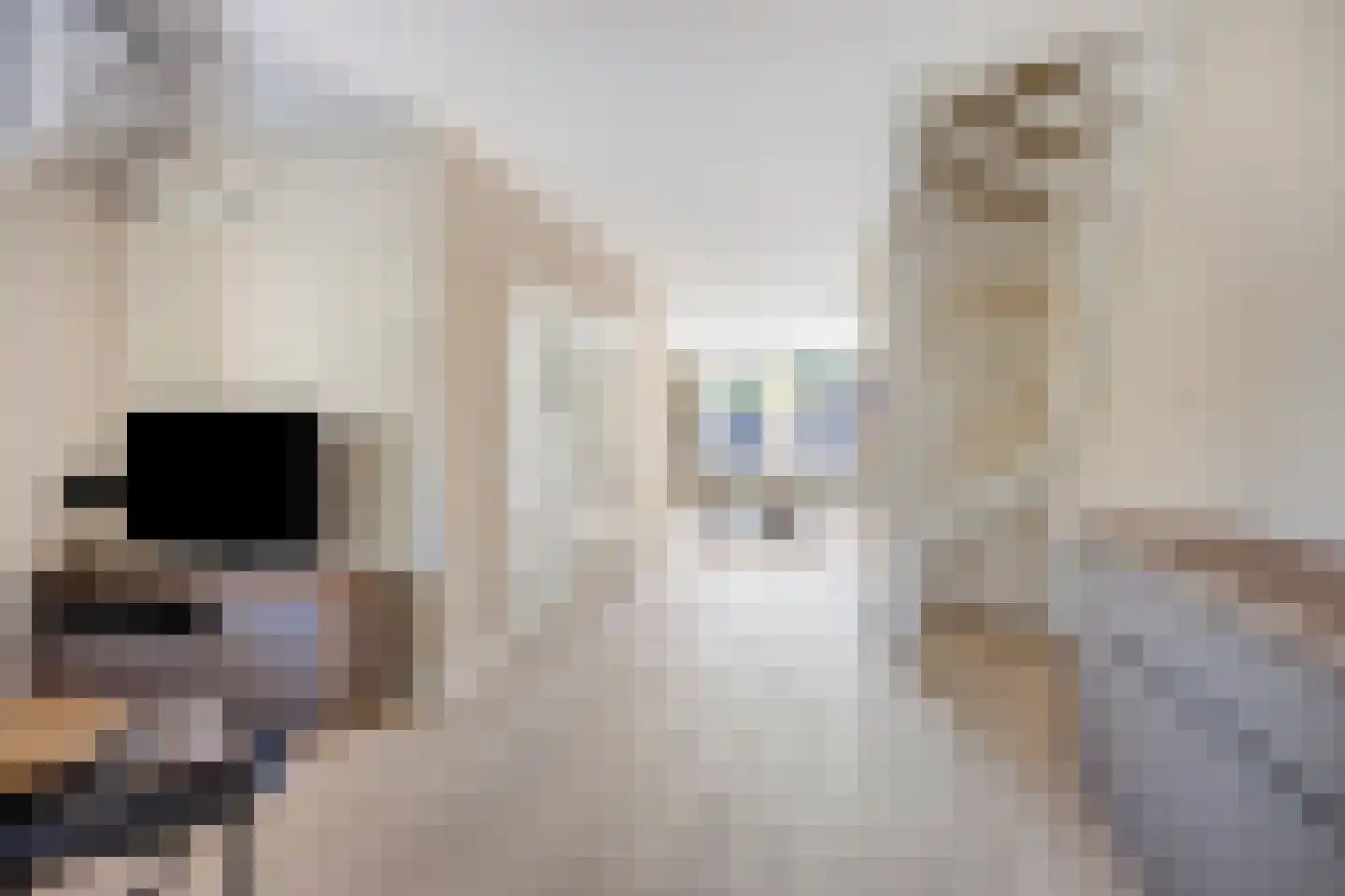 Kouter 53 Gemert thumbnail 14