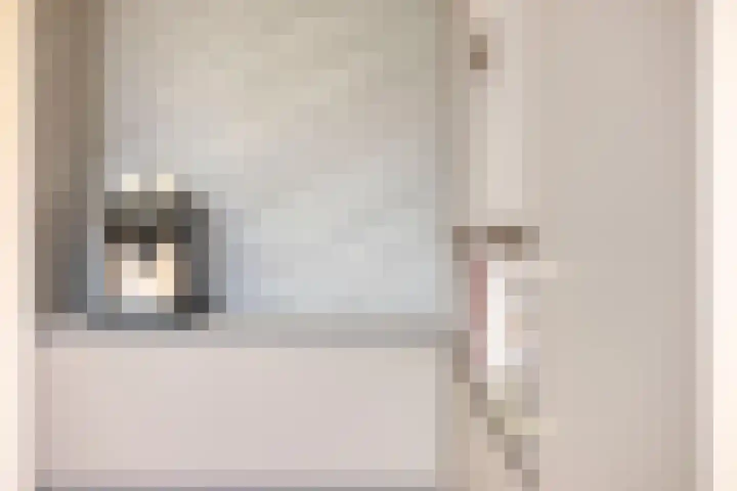 Kouter 53 Gemert thumbnail 25