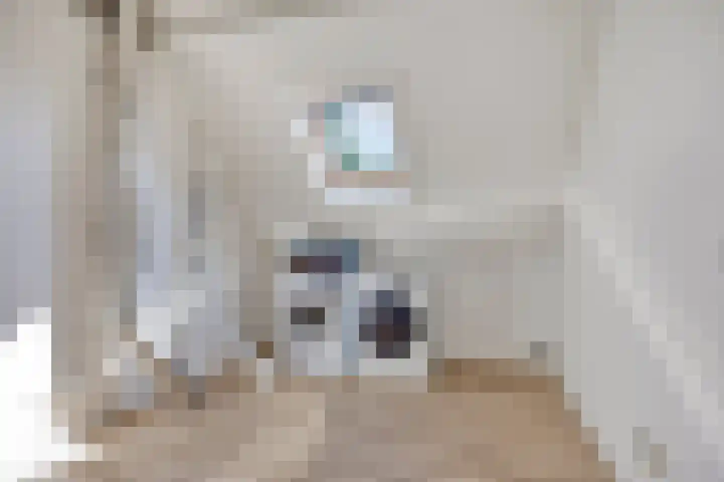 Kouter 53 Gemert thumbnail 40