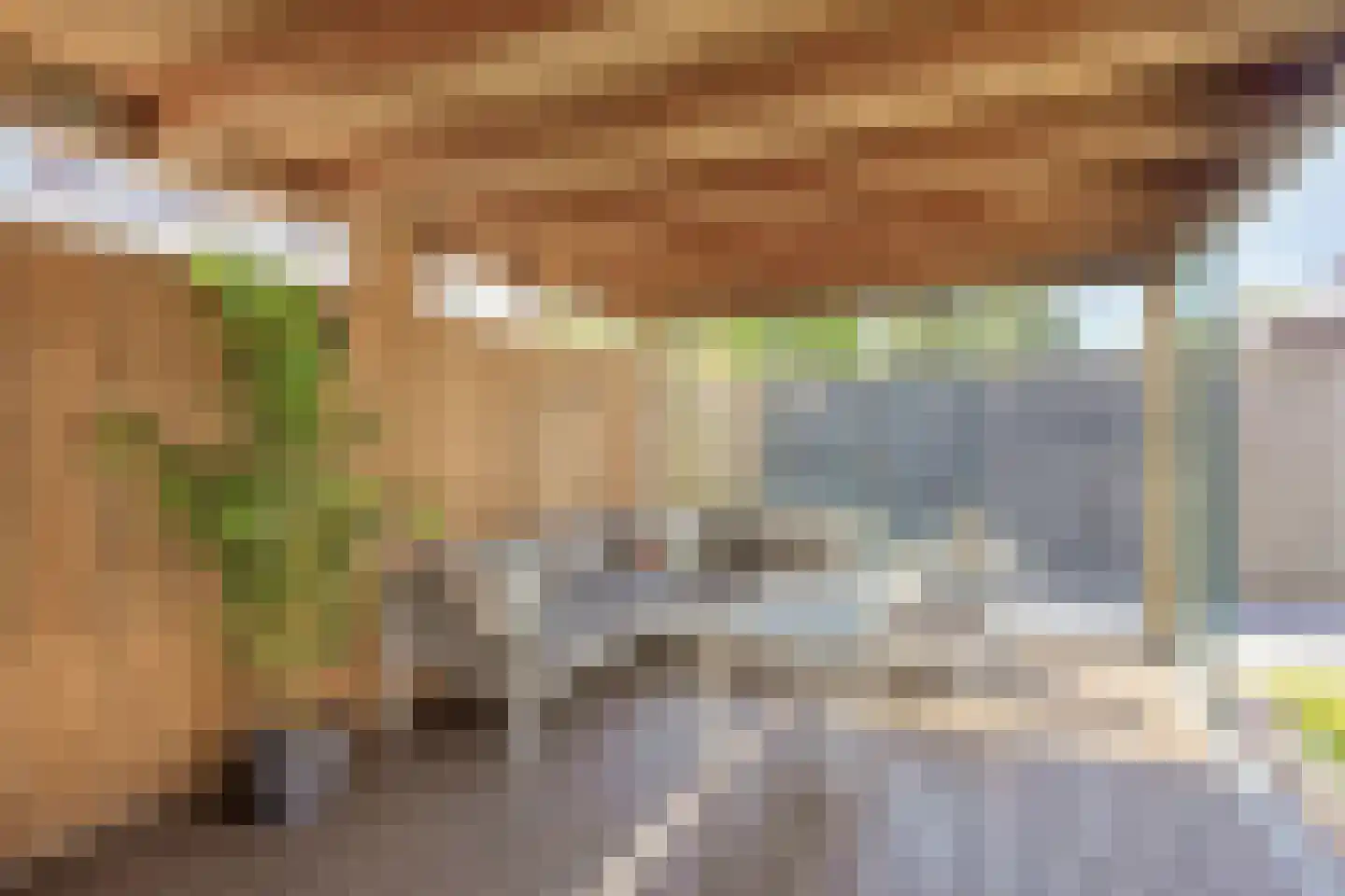 Kouter 53 Gemert thumbnail 52