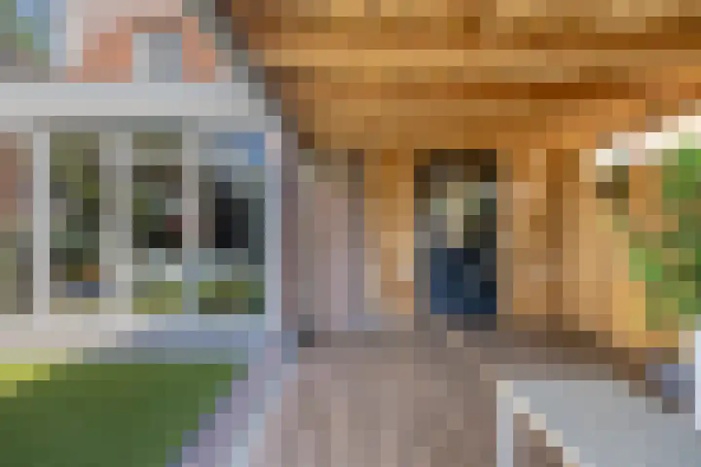 Kouter 53 Gemert thumbnail 54