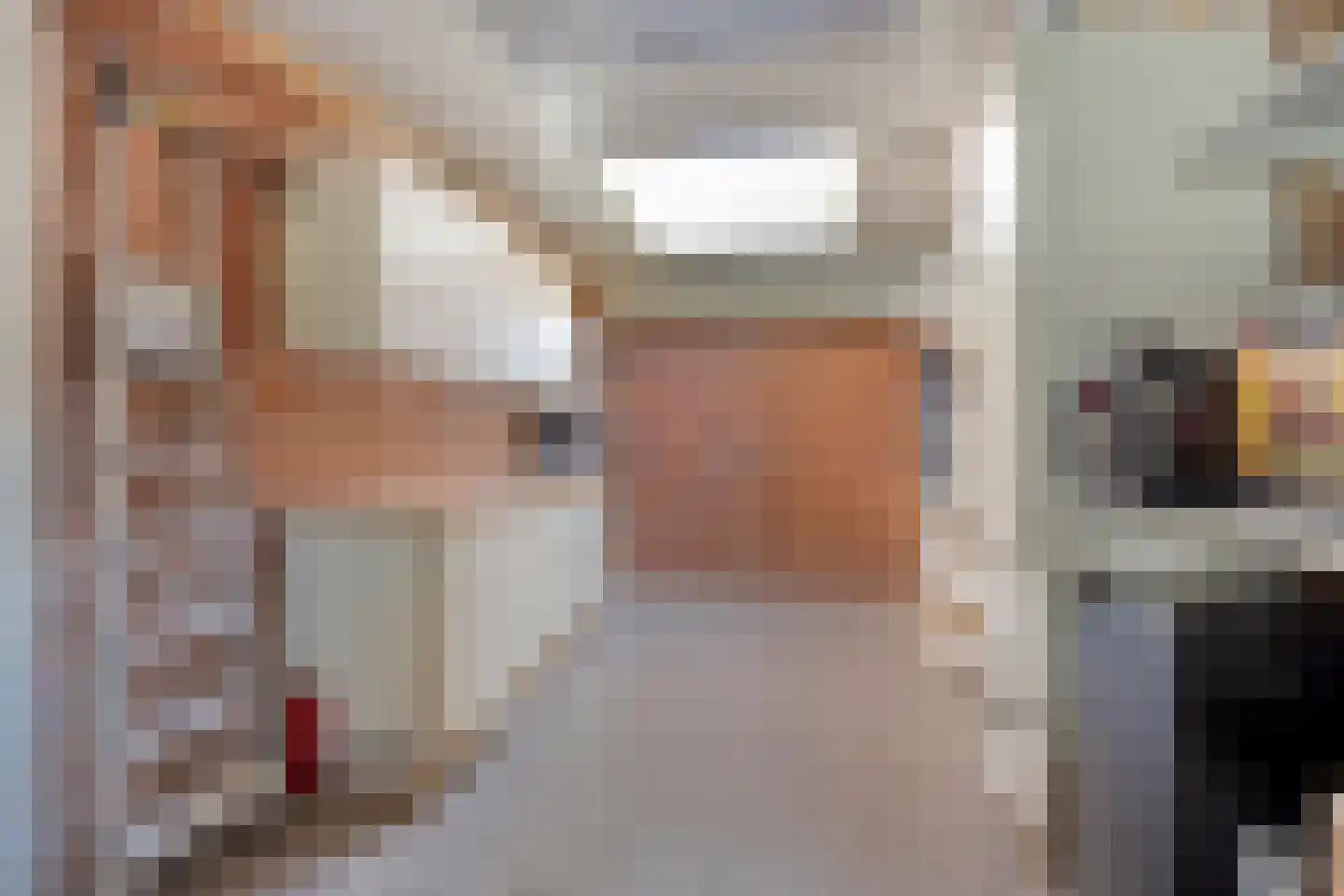Kouter 53 Gemert thumbnail 55