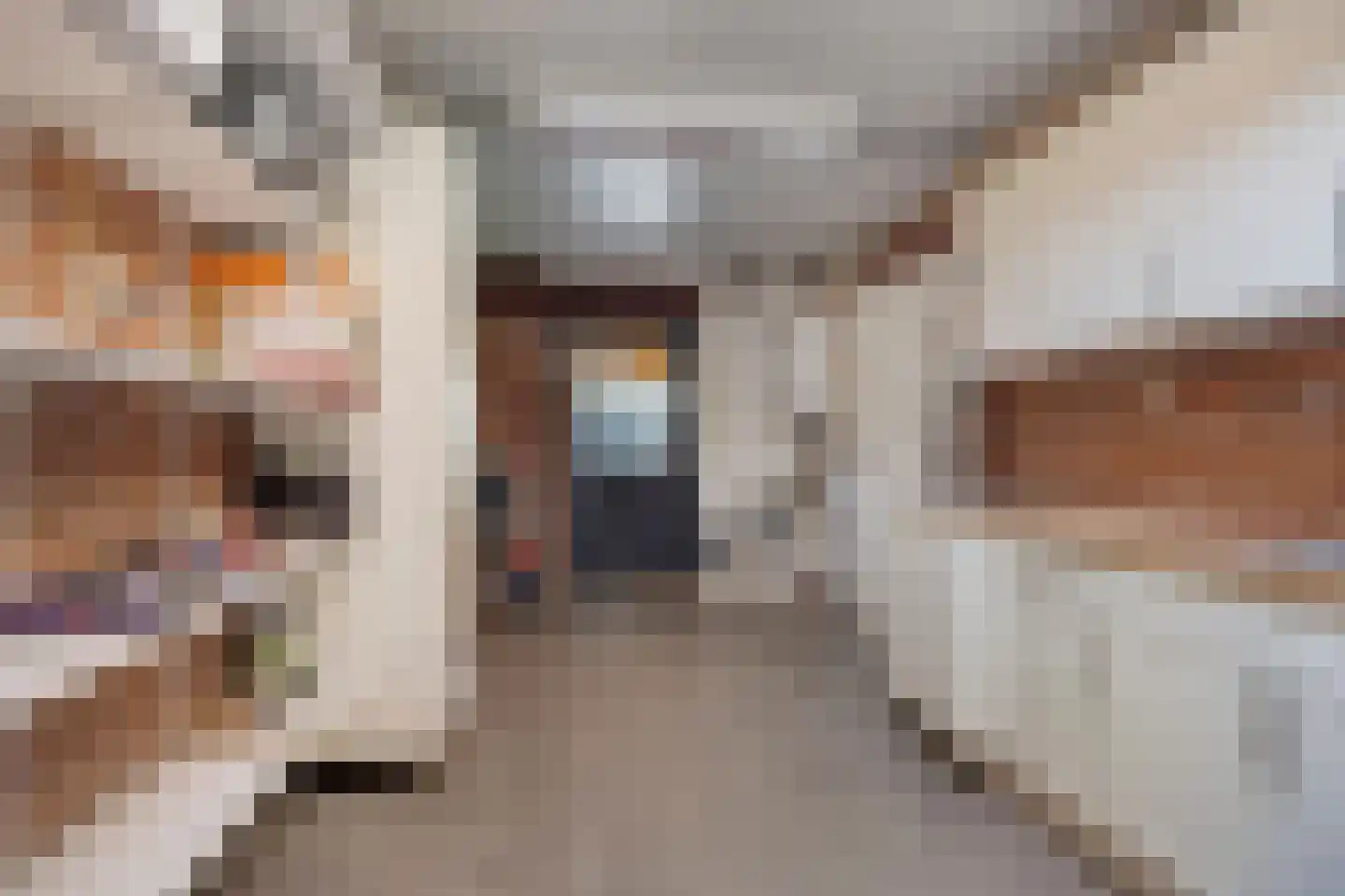Kouter 53 Gemert thumbnail 56