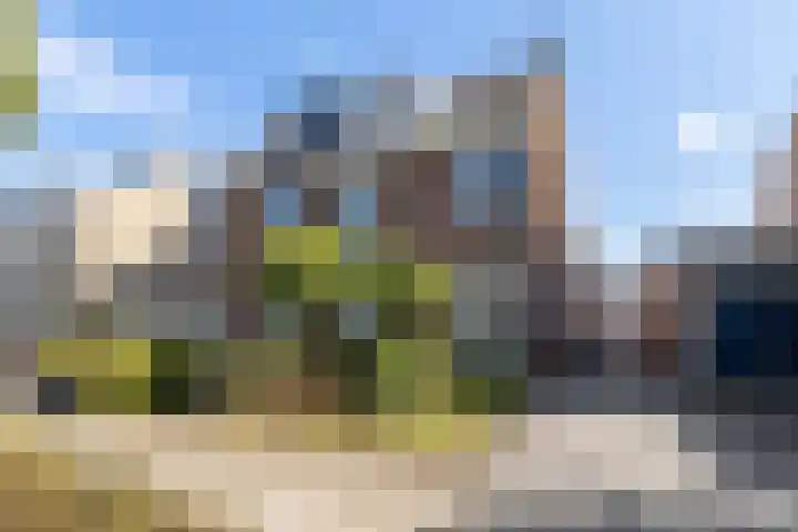 Kouter 69 dans Gemert