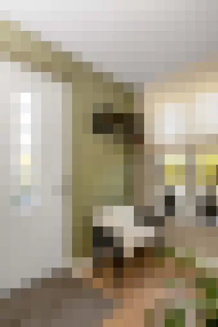 Kouter 69 Gemert thumbnail 12