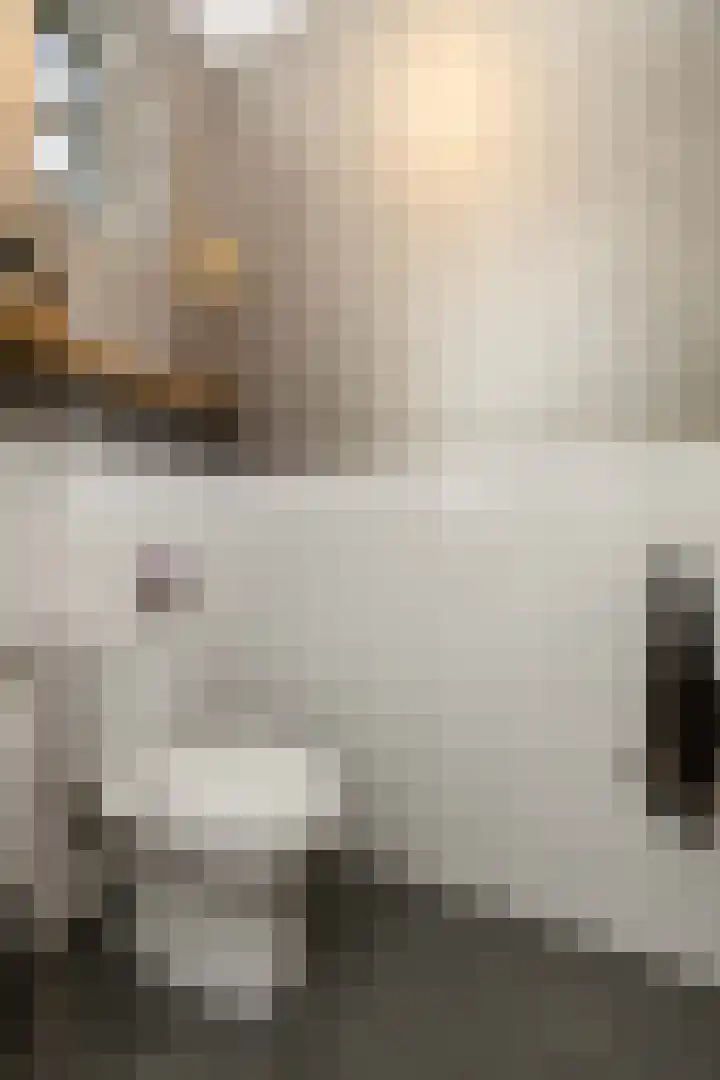 Kouter 69 Gemert thumbnail 13