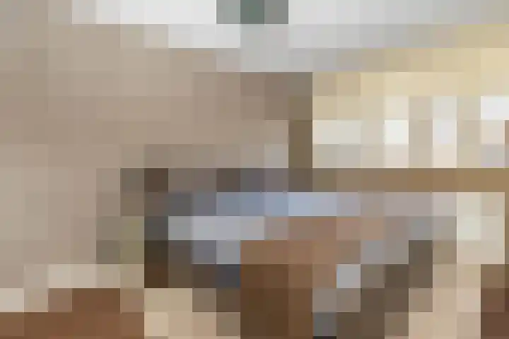 Kouter 69 Gemert thumbnail 14