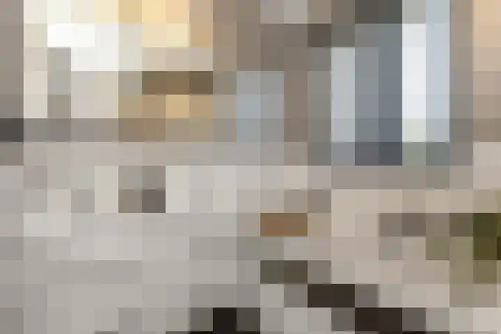 Kouter 69 Gemert thumbnail 17
