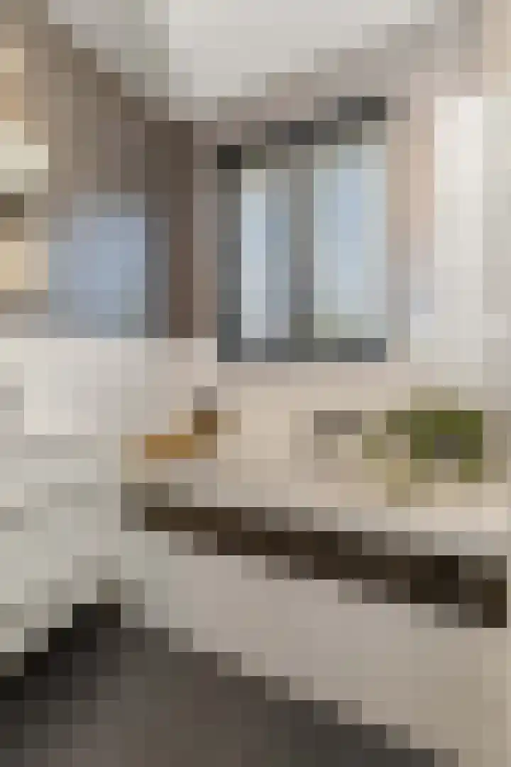 Kouter 69 Gemert thumbnail 19