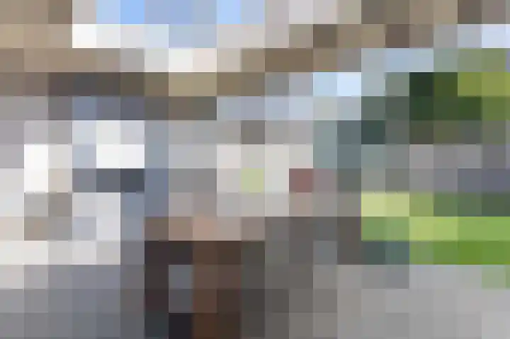 Kouter 69 Gemert foto 2