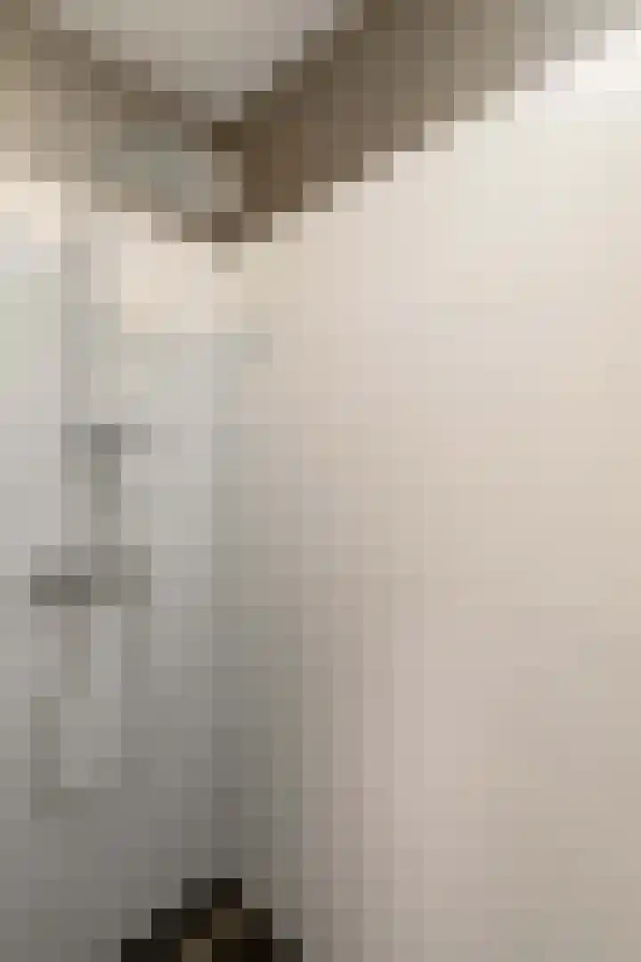 Kouter 69 Gemert thumbnail 20