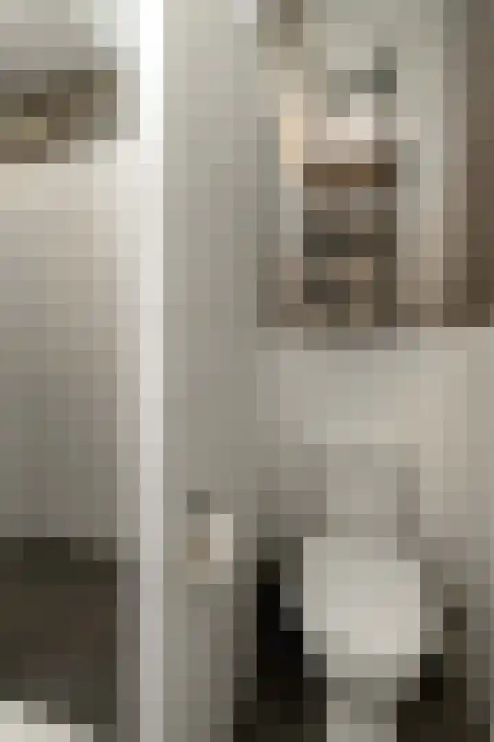 Kouter 69 Gemert thumbnail 21