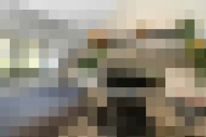Kouter 69 Gemert thumbnail 22