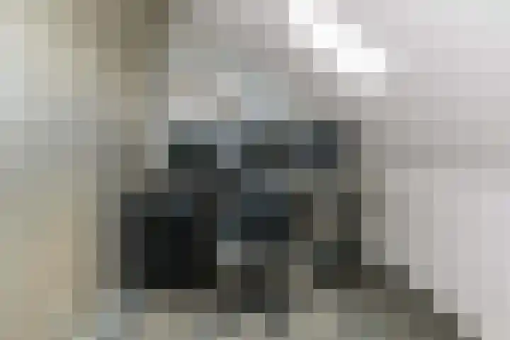 Kouter 69 Gemert thumbnail 23