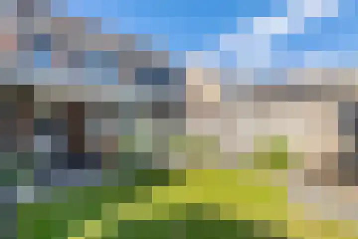 Kouter 69 Gemert thumbnail 24