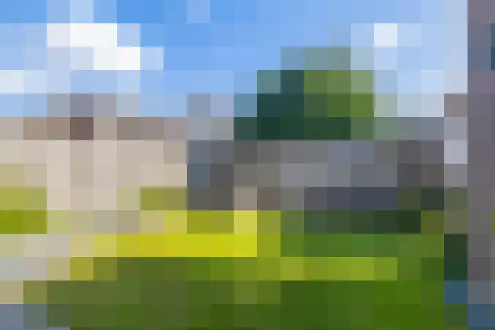 Kouter 69 Gemert thumbnail 25