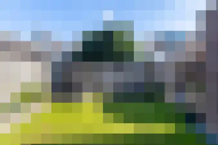 Kouter 69 Gemert thumbnail 27