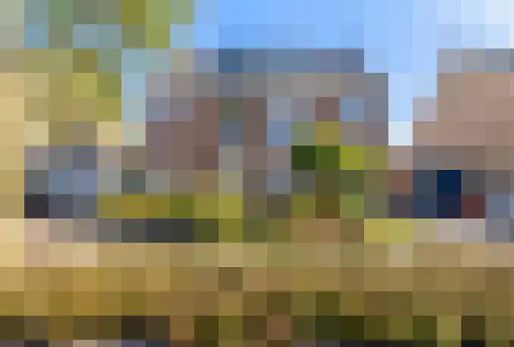 Kouter 69 Gemert thumbnail 28