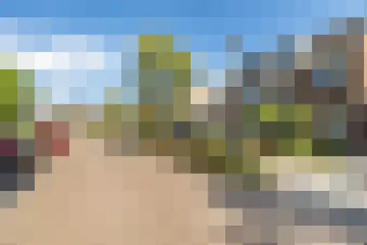 Kouter 69 Gemert thumbnail 30