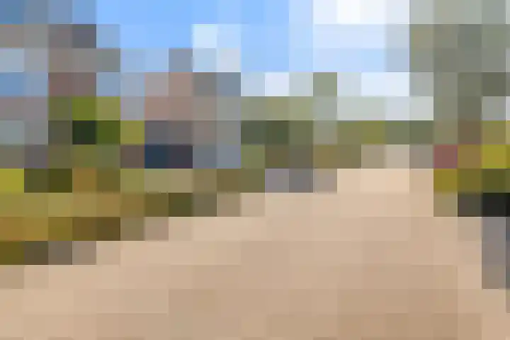 Kouter 69 Gemert thumbnail 31