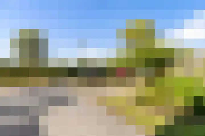 Kouter 69 Gemert thumbnail 32