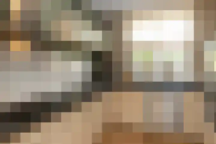 Kouter 69 Gemert thumbnail 4