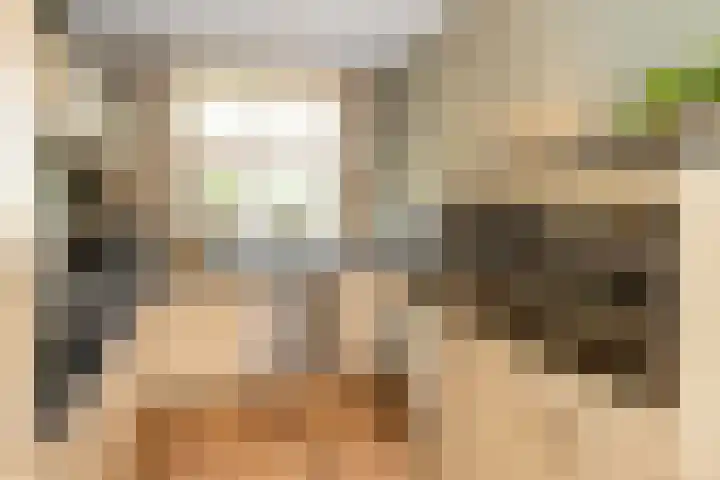 Kouter 69 Gemert thumbnail 5