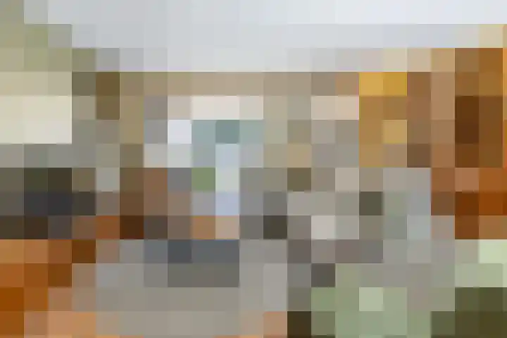 Kouter 69 Gemert thumbnail 6