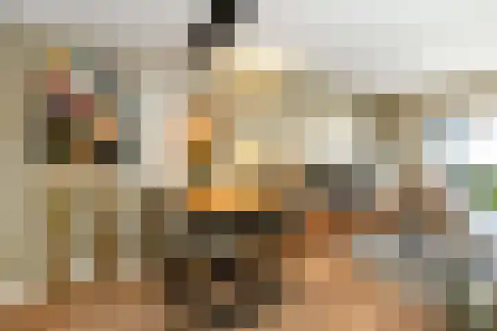 Kouter 69 Gemert thumbnail 7