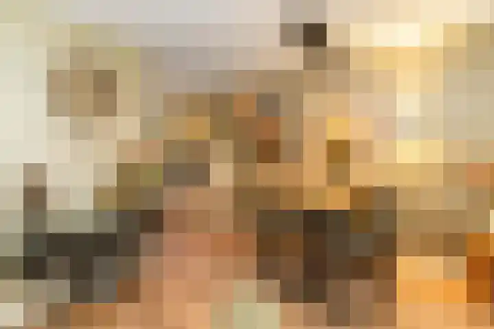 Kouter 69 Gemert thumbnail 8