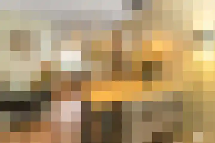 Kouter 69 Gemert thumbnail 9
