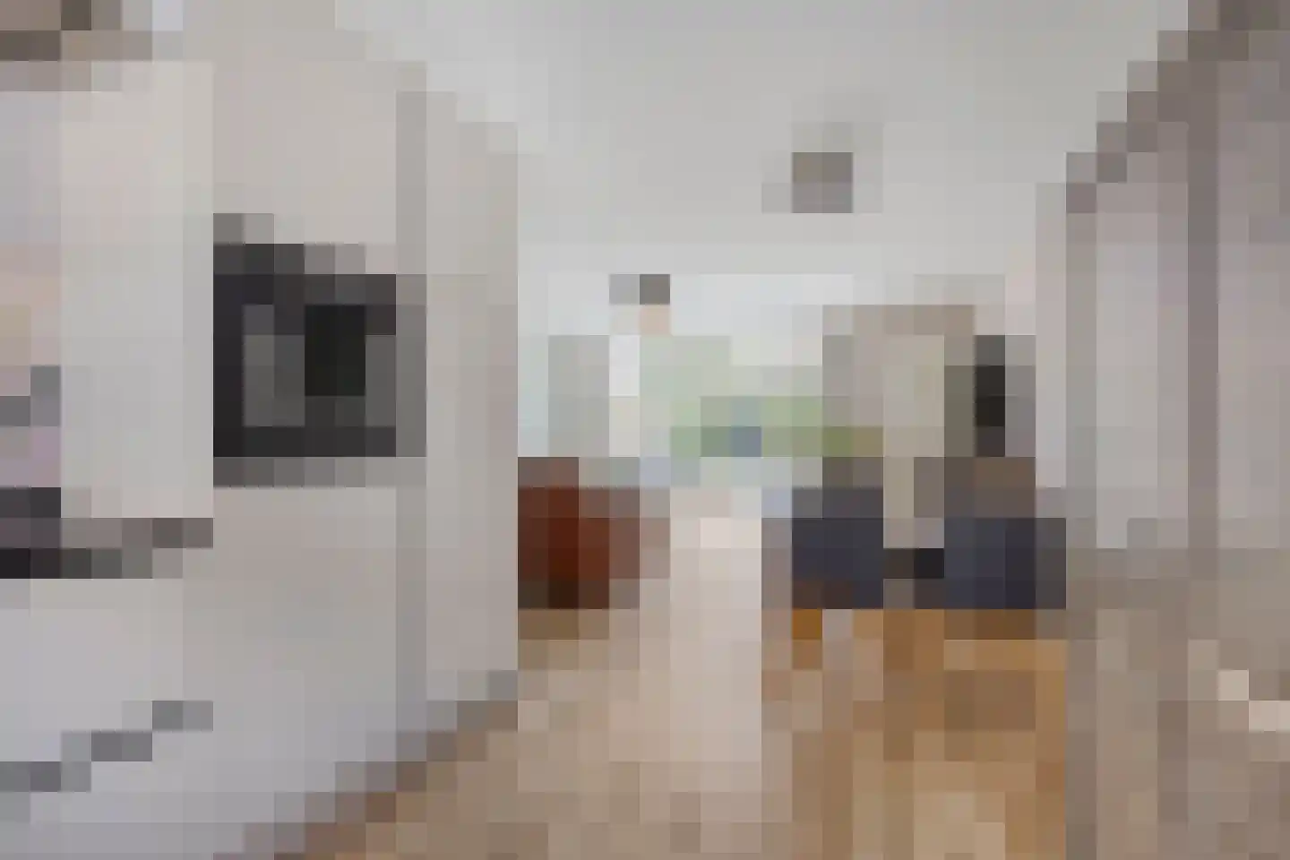 Kouter 7 Poortugaal thumbnail 13